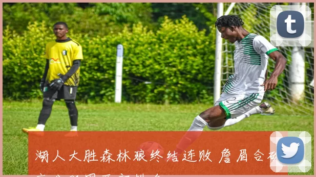 湖人大胜森林狼终结连败 詹眉合砍高分巩固西部排名