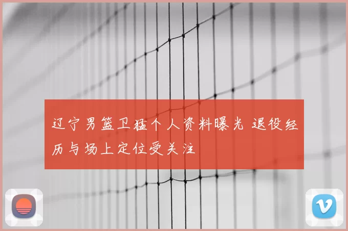 辽宁男篮卫猛个人资料曝光 退役经历与场上定位受关注