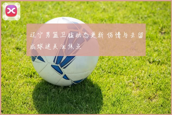 辽宁男篮卫猛动态更新 伤情与去留成球迷关注焦点