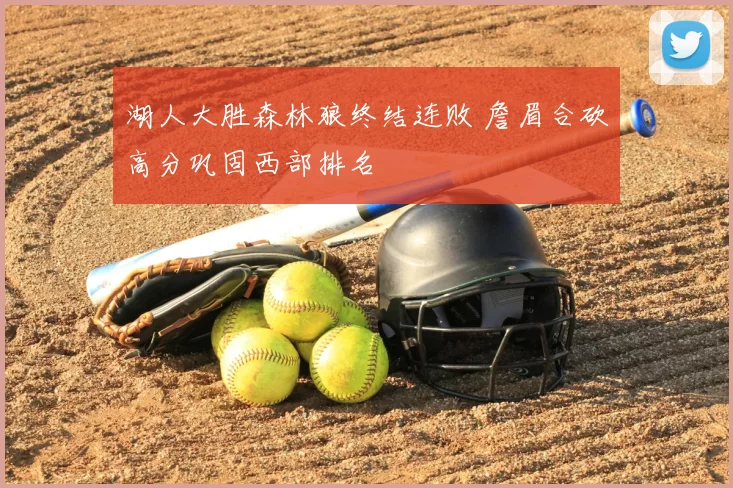 湖人大胜森林狼终结连败 詹眉合砍高分巩固西部排名